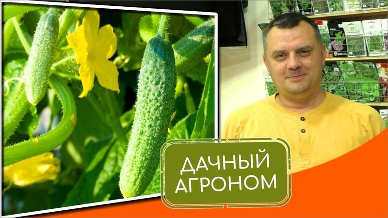 [Дачный агроном] Огуречный Курс (2022)_0.jpg